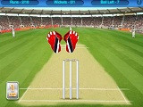 Hra - Cricket Wlcket