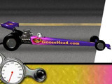 Hra - Goosehead Racing