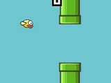 Hra - Flappy bird flash