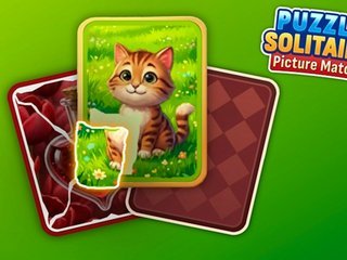 Hra - Puzzle Solitaire Picture Match