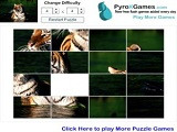 Hra - Tiger Slider Puzzle Game
